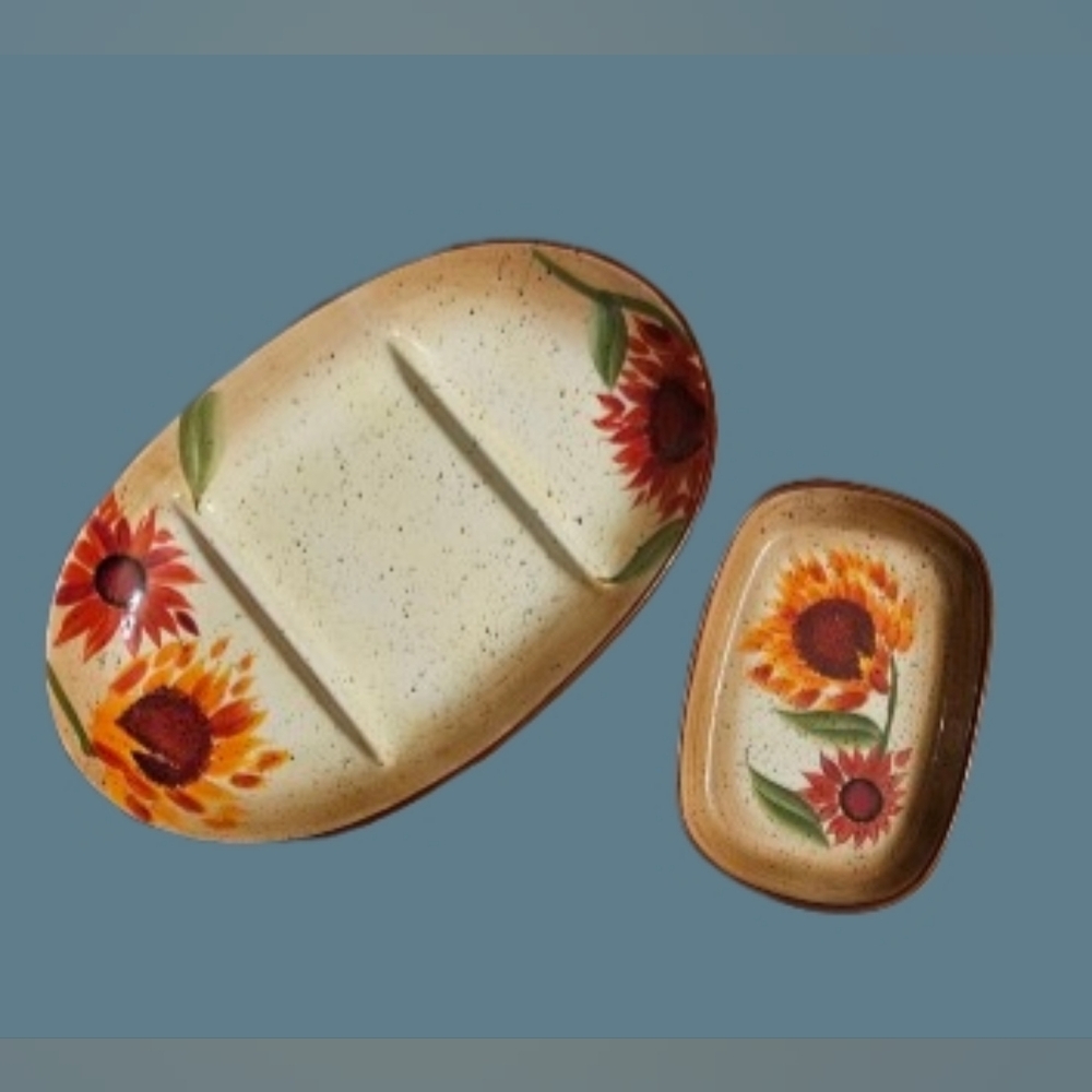 NWOT Pfaltzgraff Evening Sun Serving Dishes Set Of 2